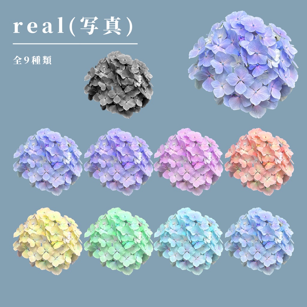 【無料/有料】紫陽花01_カラーセット【TRPG素材】