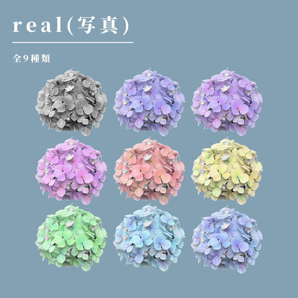 【無料】紫陽花02_カラーセット【TRPG素材】