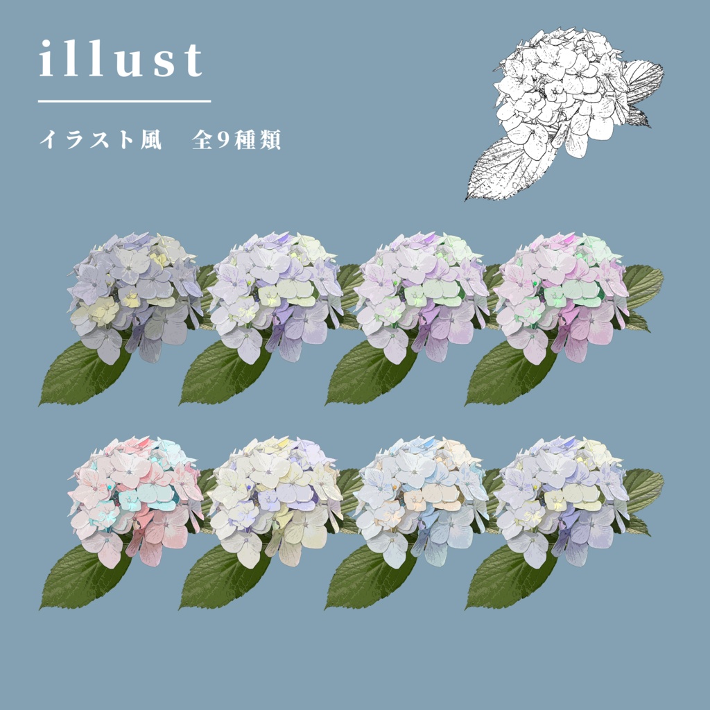 【無料/有料】紫陽花03_カラーセット【TRPG素材】