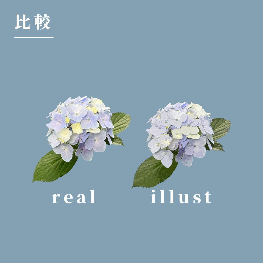 【無料/有料】紫陽花03_カラーセット【TRPG素材】