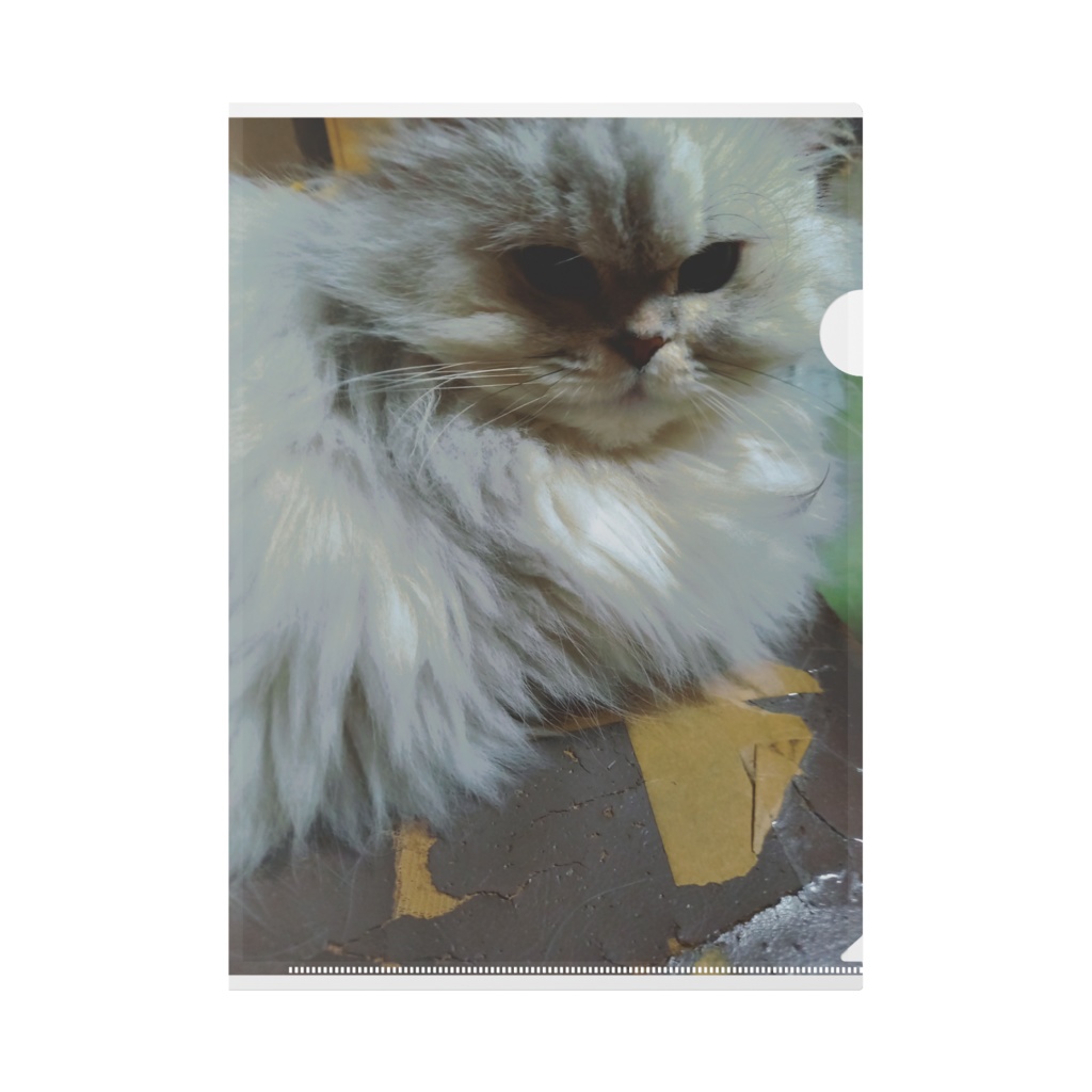 猫ちゃんクリアファイル