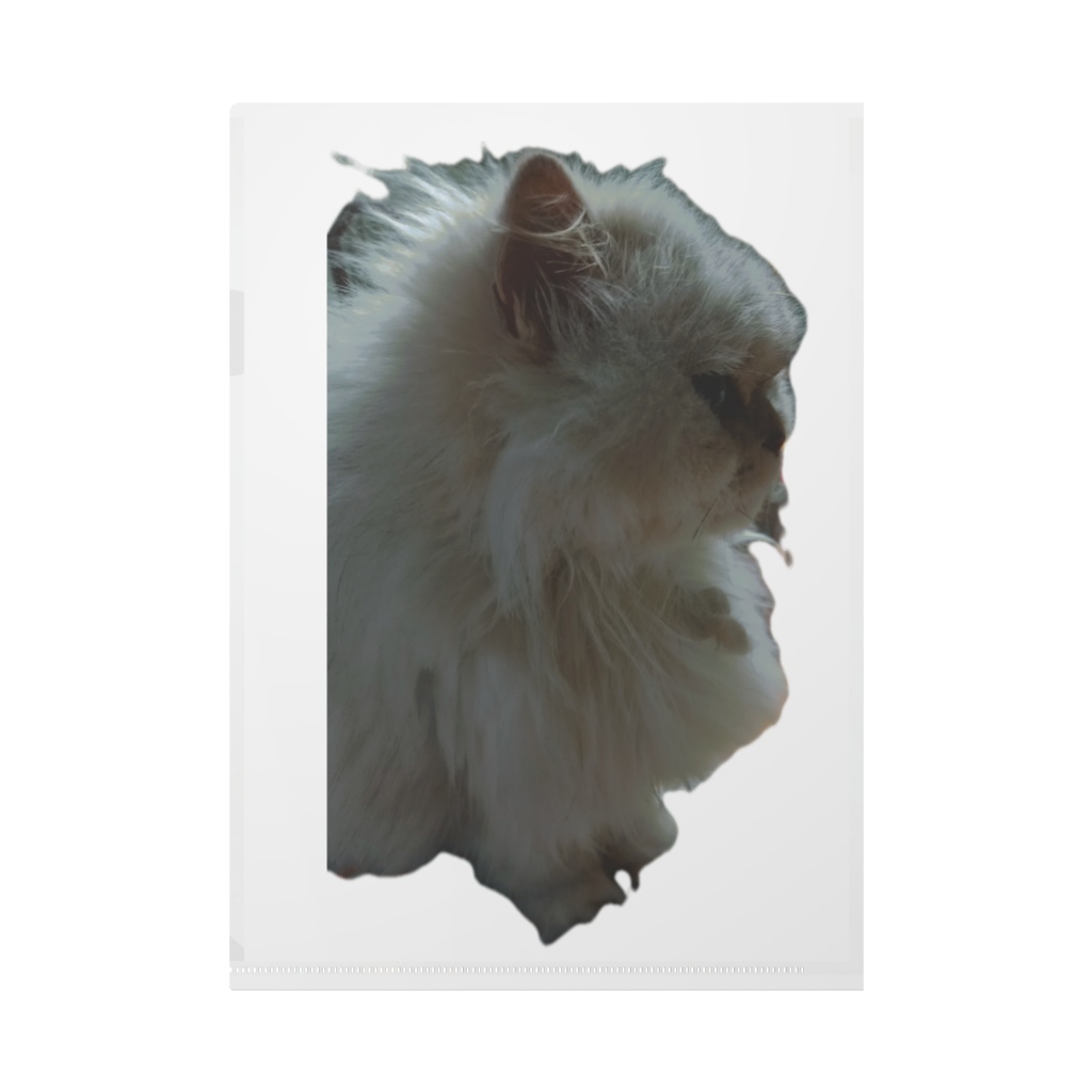 猫ちゃんクリアファイル