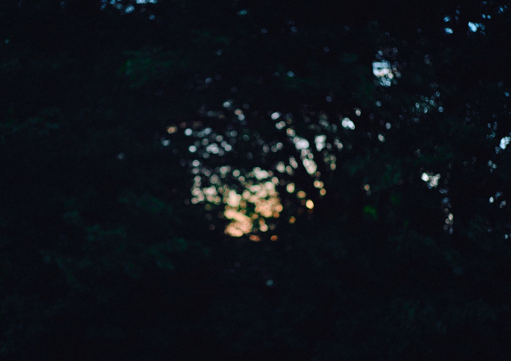 額装写真「Still,life」#1