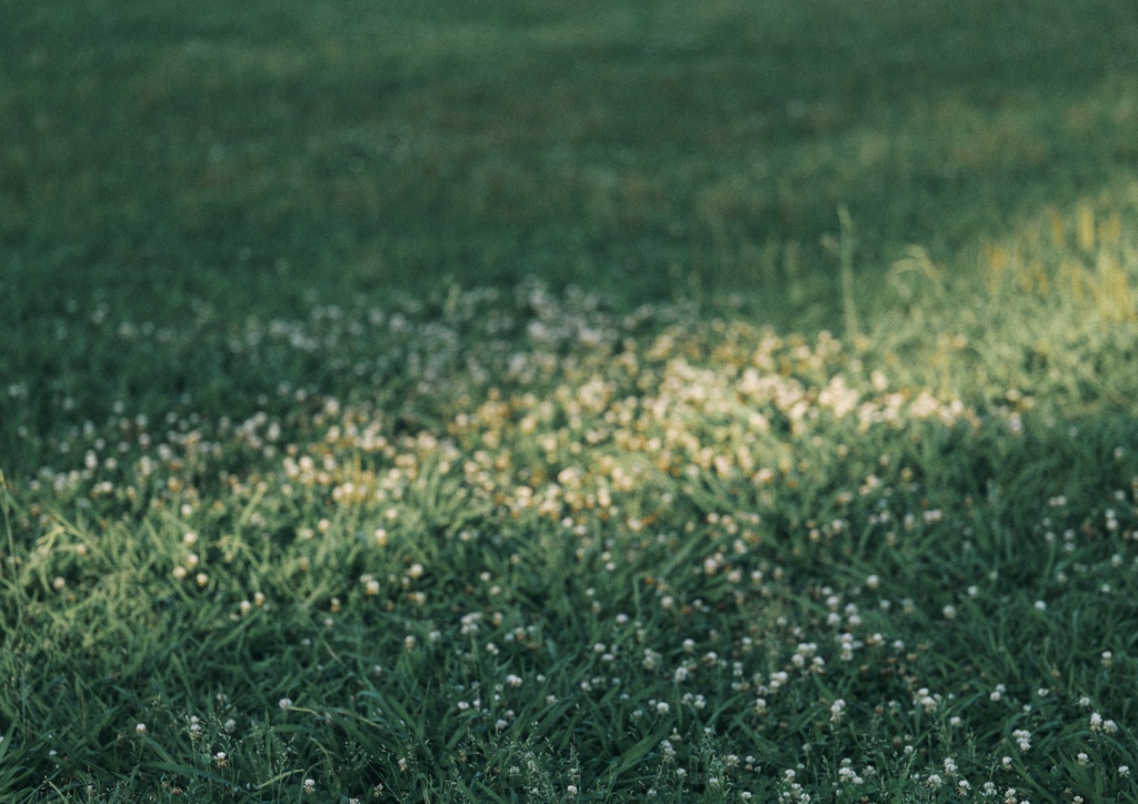額装写真「Still,life」#4