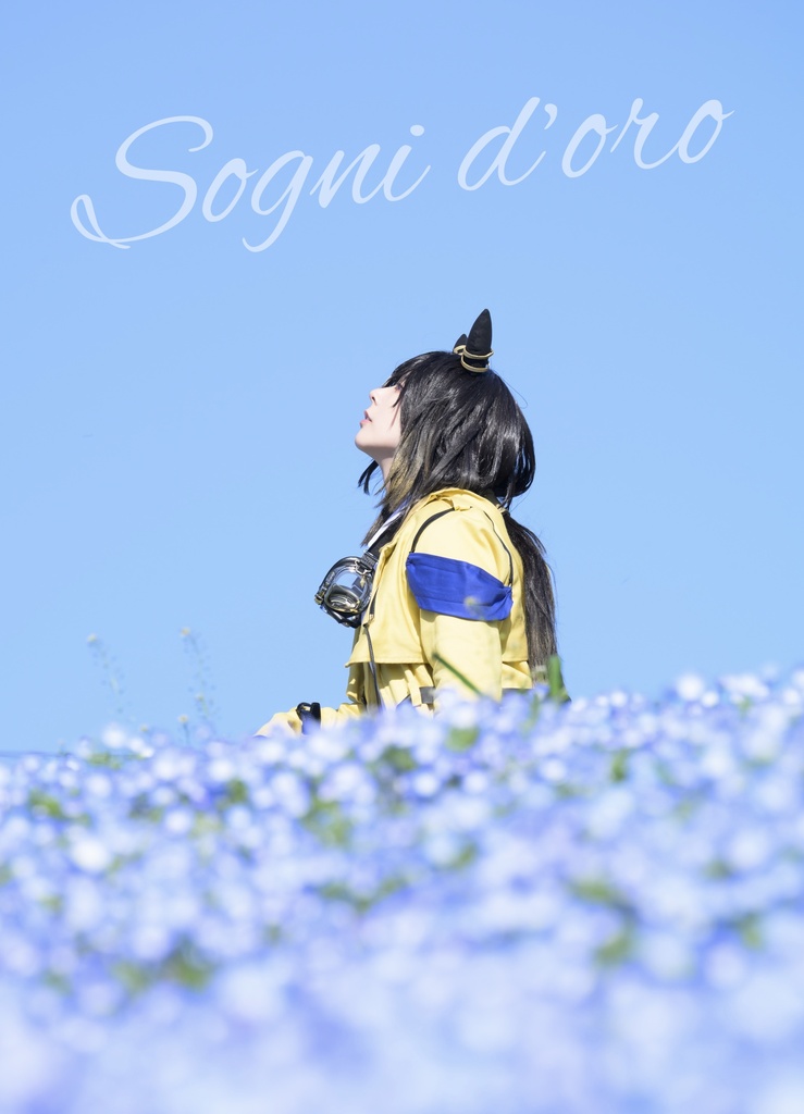 ステイゴールド写真集 / Sogni d’oro
