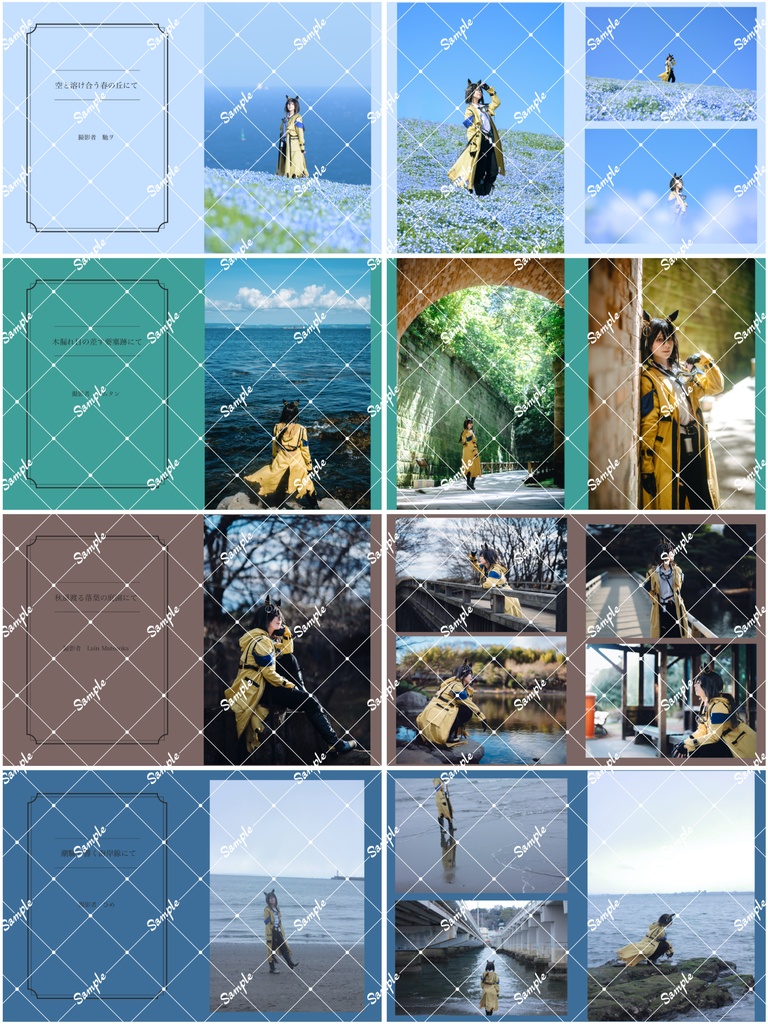 ステイゴールド写真集 / Sogni d’oro