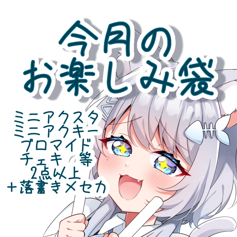 🐱今月のお楽しみ袋🐱