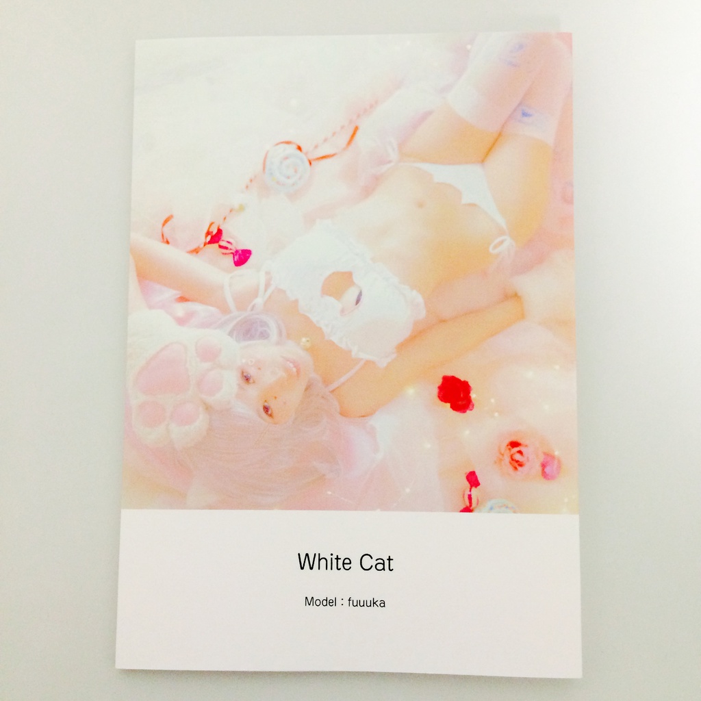 white cat