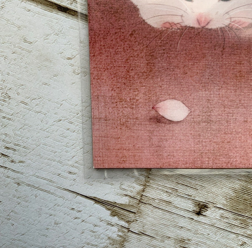 2025年カレンダー《訳アリ品》