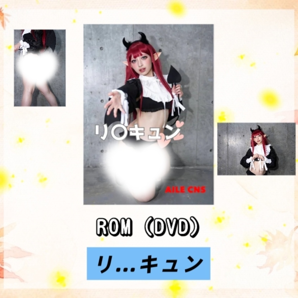 【C108】ふじみ  ROM（DVD）