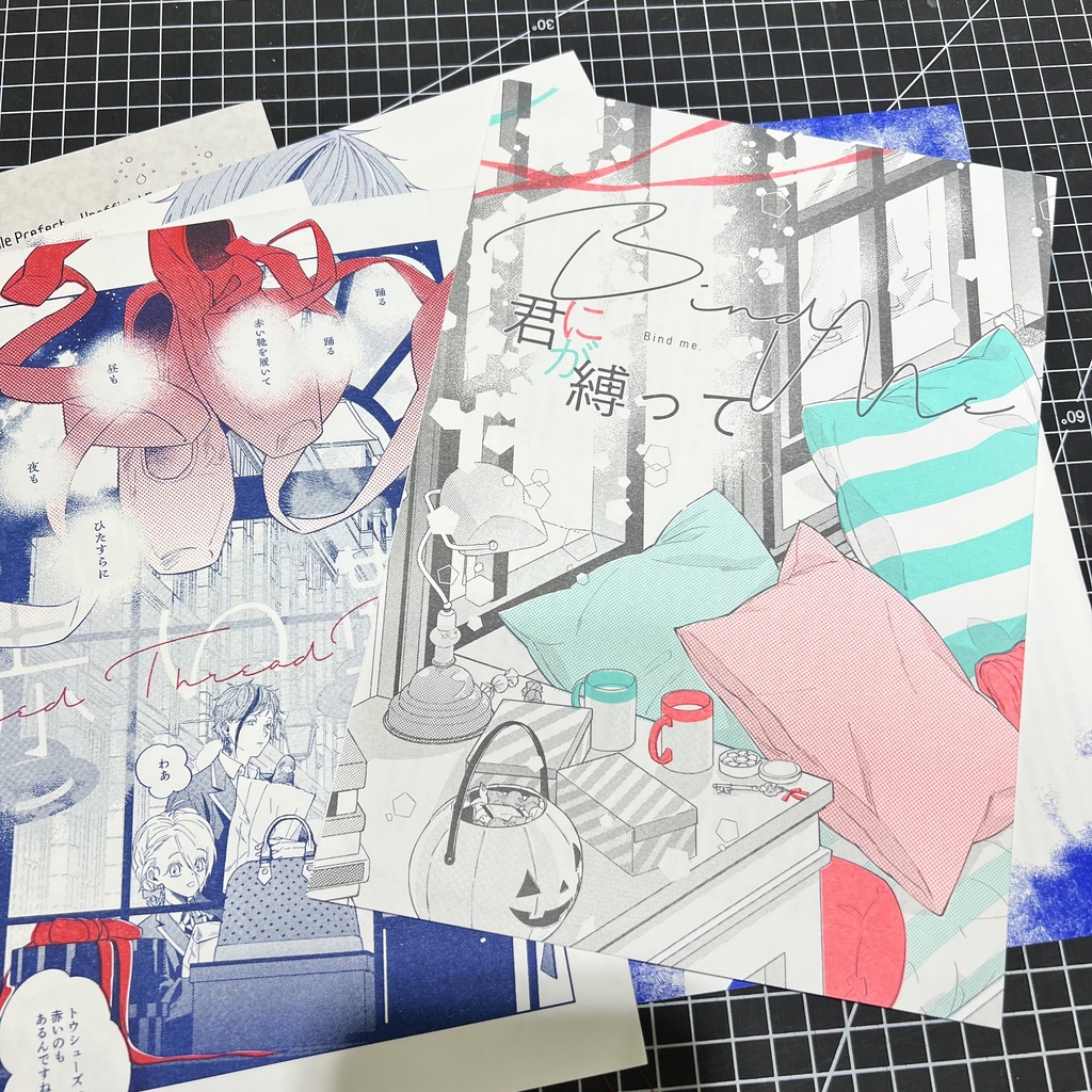 202507新刊(08増補版)フロ監『the Tied Red Thread』
