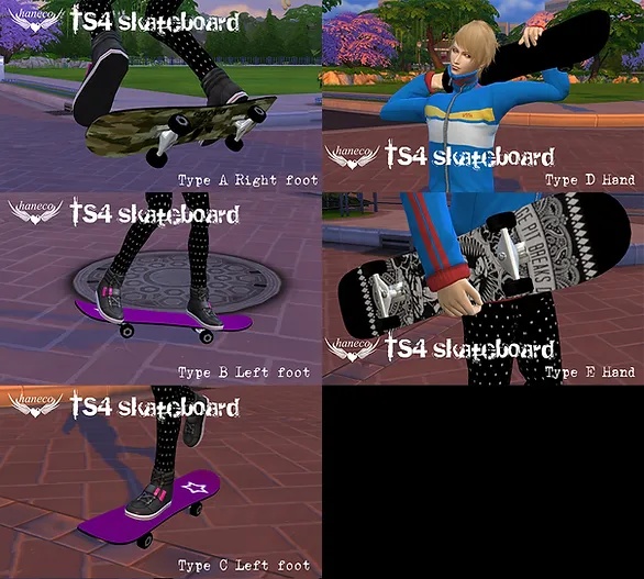 TS4 Skateboard set