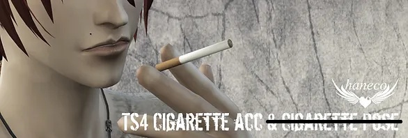 haneco ts4 cigarette acc01