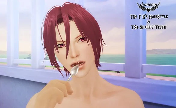 TS4 shark's teeth