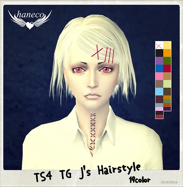TS4 TG J's Hairstyle