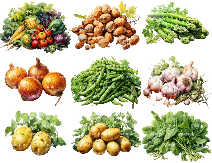 【透過素材38点】野菜(svg/png/pdf)