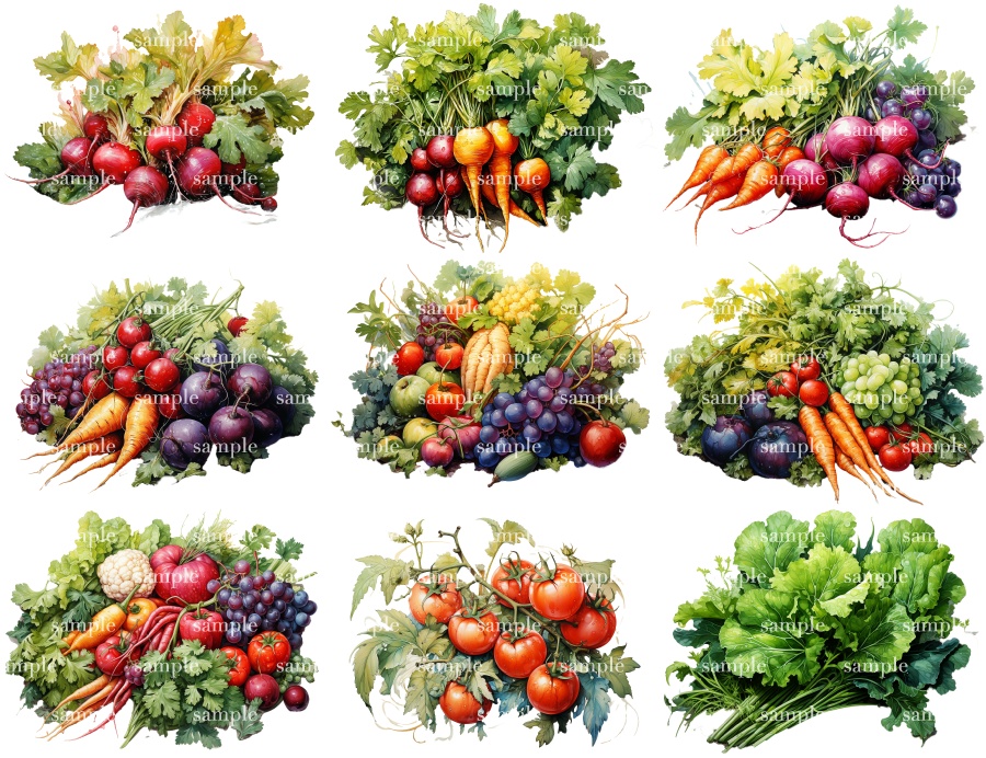 【透過素材38点】野菜(svg/png/pdf)