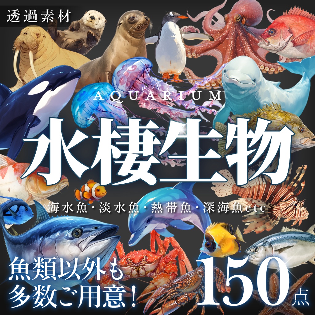 水棲生物】透過イラスト素材150点【魚/海水魚/淡水魚/イカ/タコ/サメ/イルカ/クジラ/クラゲ/アザラシ/カメ】 - sozaiya-create  - BOOTH