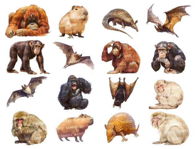 【透過素材140点】動物|肉食獣/草食獣/哺乳類/鳥類(png)