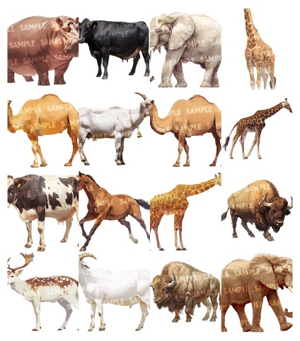 【透過素材140点】動物|肉食獣/草食獣/哺乳類/鳥類(png)