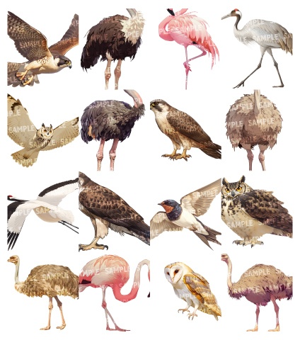 【透過素材140点】動物|肉食獣/草食獣/哺乳類/鳥類(png)