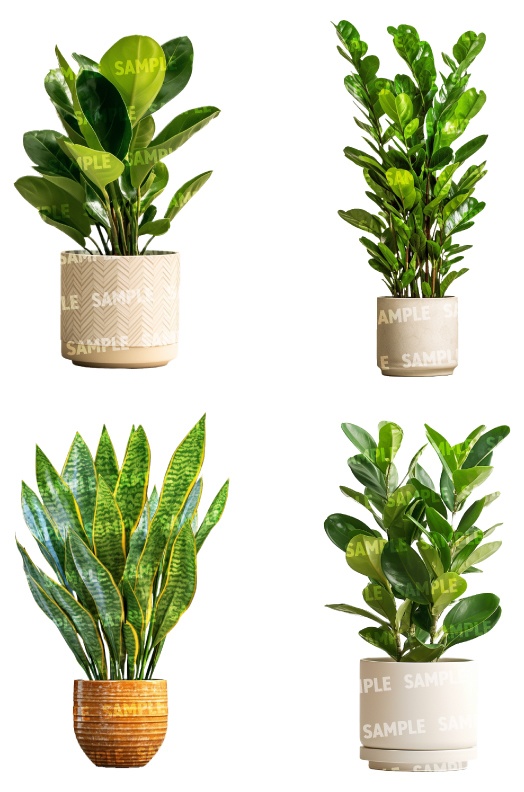 【透過素材50点】観葉植物(png)