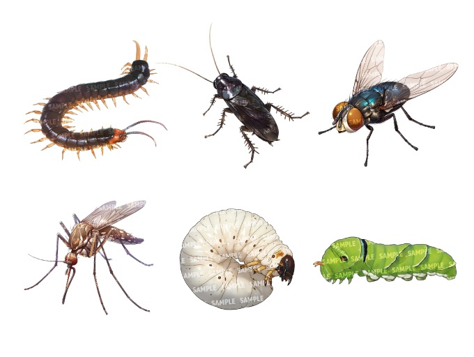 【透過素材40点】虫(png)