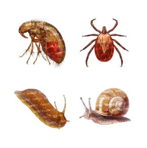 【透過素材40点】虫(png)