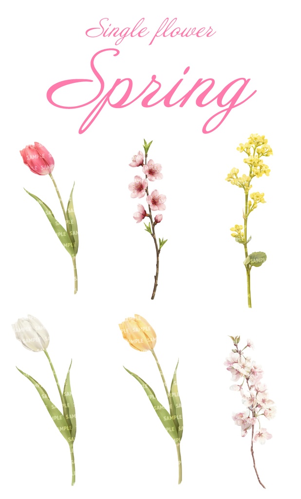 【透過素材100点】一輪の花|春夏秋冬(png)