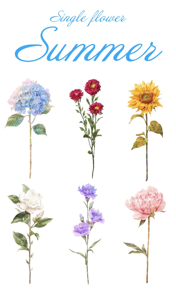 【透過素材100点】一輪の花|春夏秋冬(png)