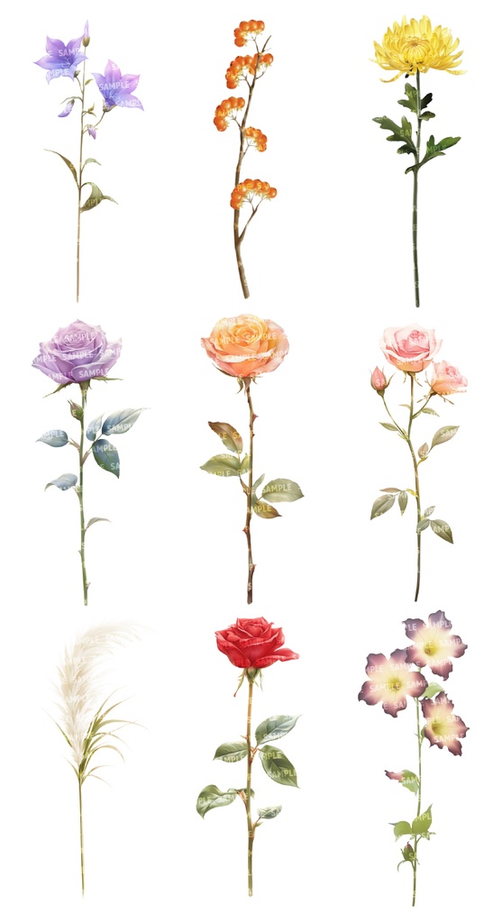 【透過素材100点】一輪の花|春夏秋冬(png)