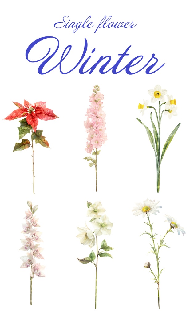 【透過素材100点】一輪の花|春夏秋冬(png)