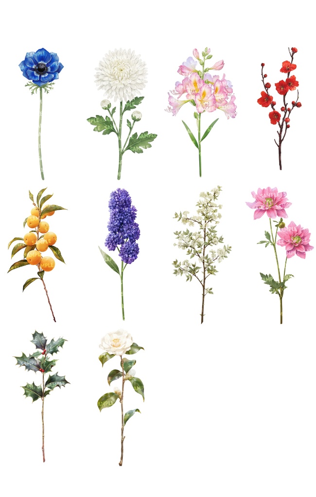 【透過素材100点】一輪の花|春夏秋冬(png)