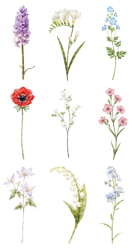 【透過素材100点】一輪の花|春夏秋冬(png)