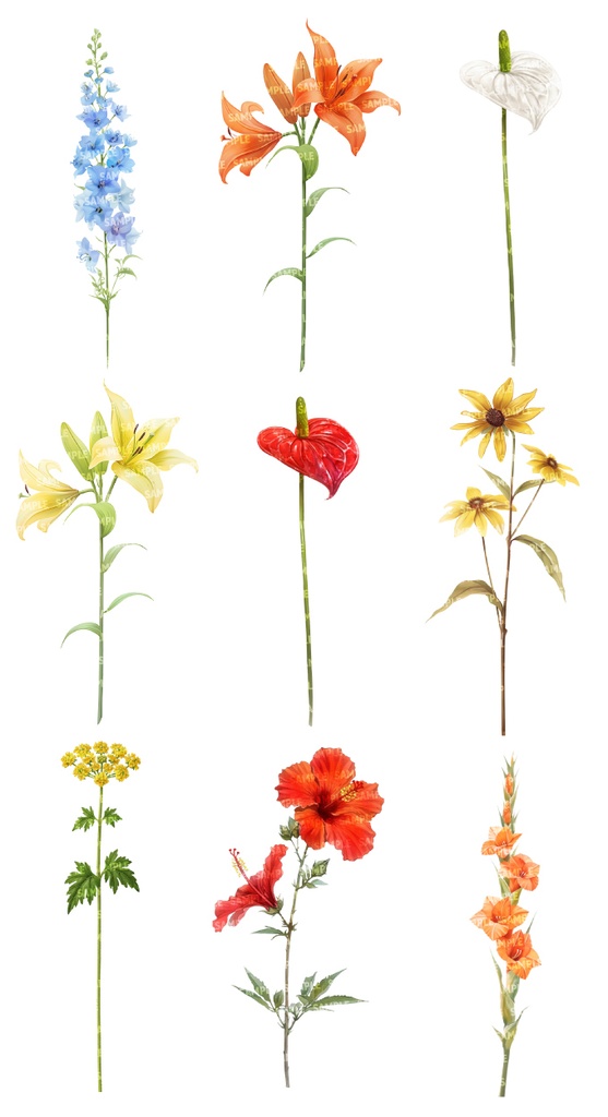 【透過素材100点】一輪の花|春夏秋冬(png)