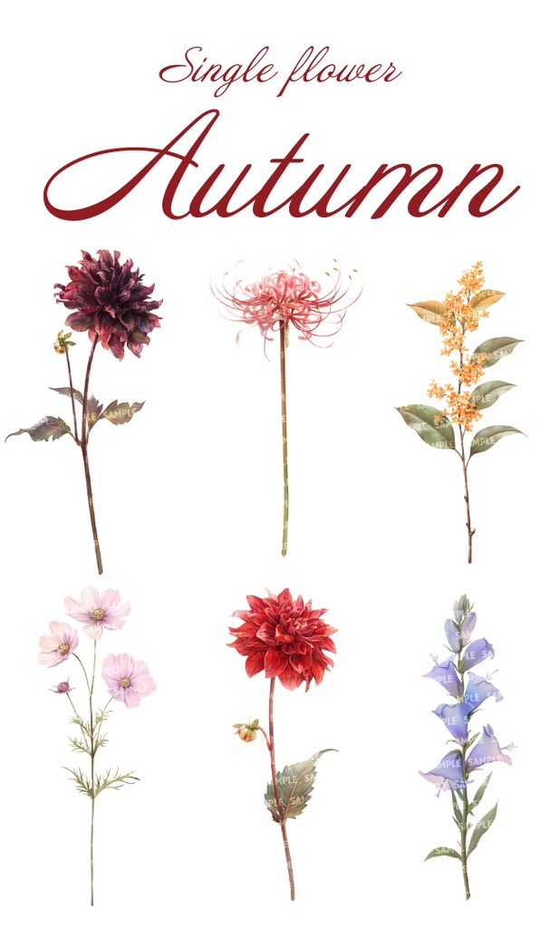 【透過素材100点】一輪の花|春夏秋冬(png)