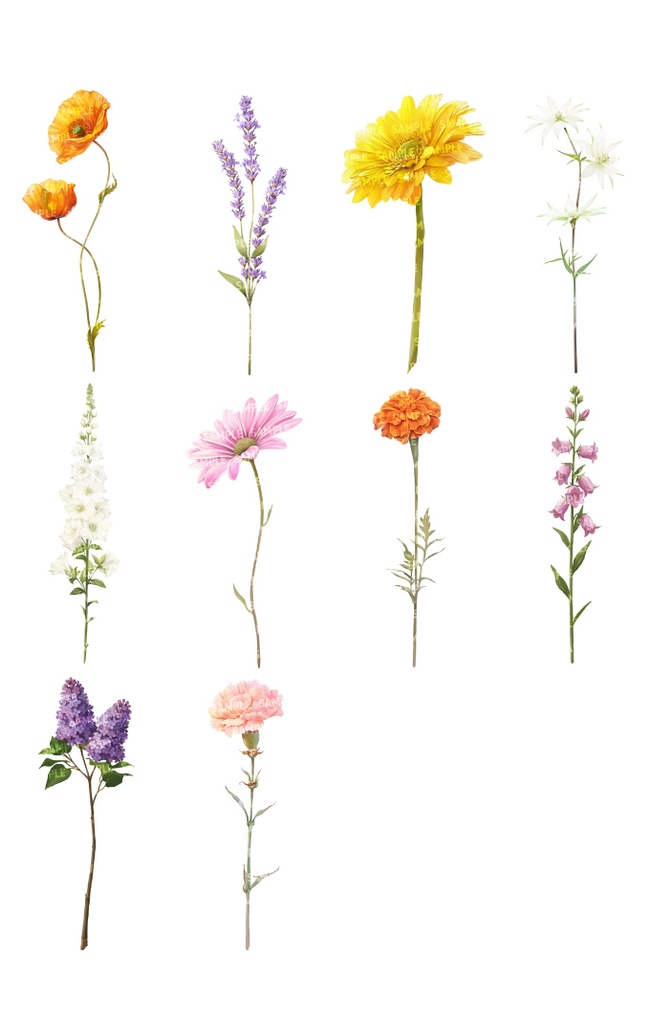 【透過素材100点】一輪の花|春夏秋冬(png)