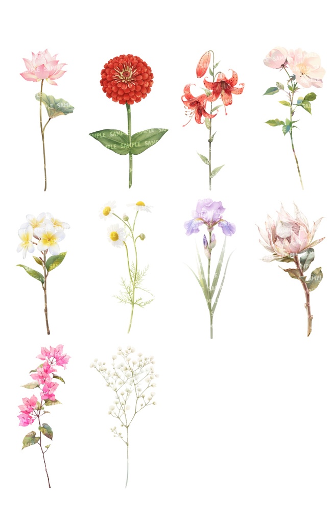 【透過素材100点】一輪の花|春夏秋冬(png)