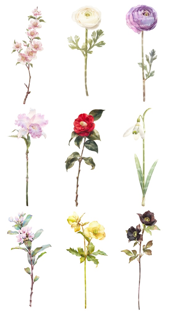 【透過素材100点】一輪の花|春夏秋冬(png)