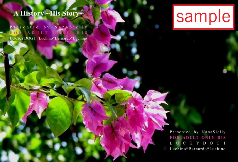 A History ～His Story～（ルキベル長編）