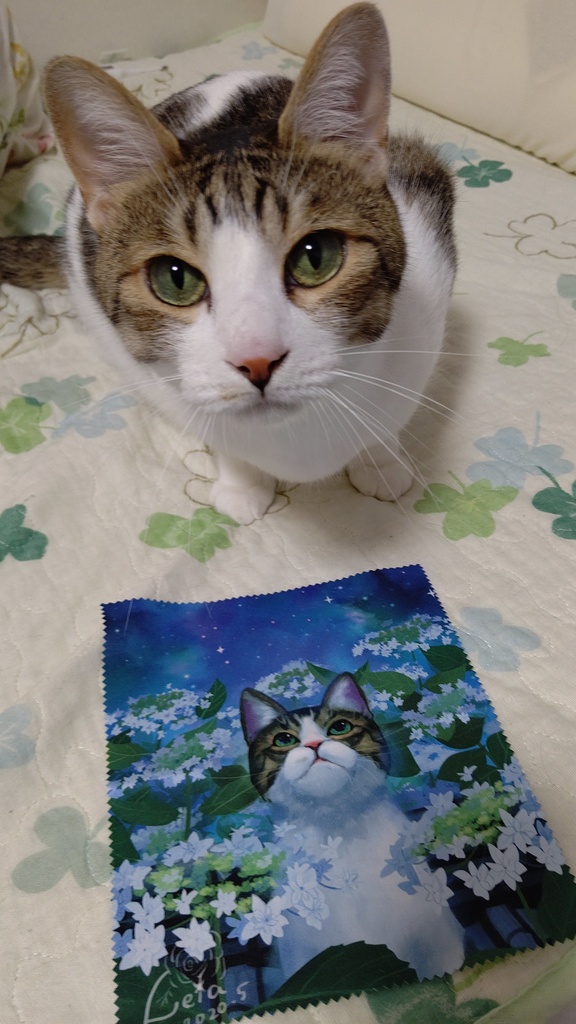 紫陽花と猫 眼鏡拭き