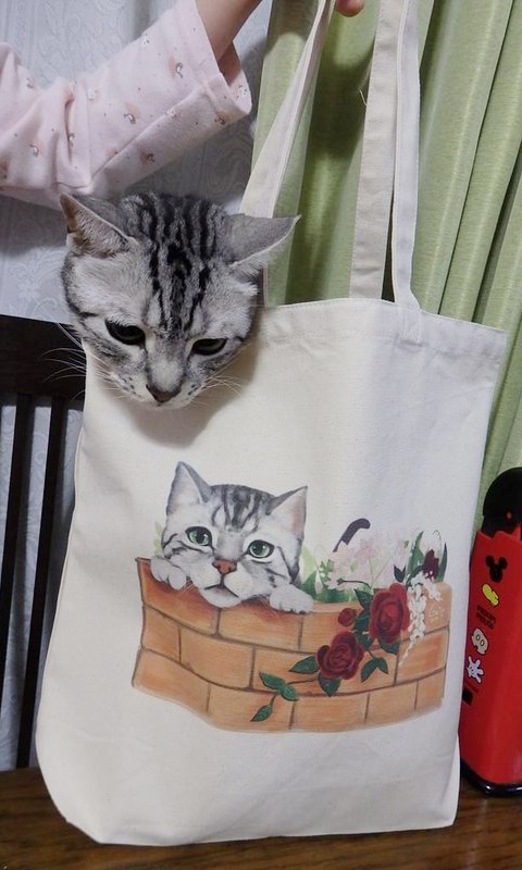 アメショトートバッグ