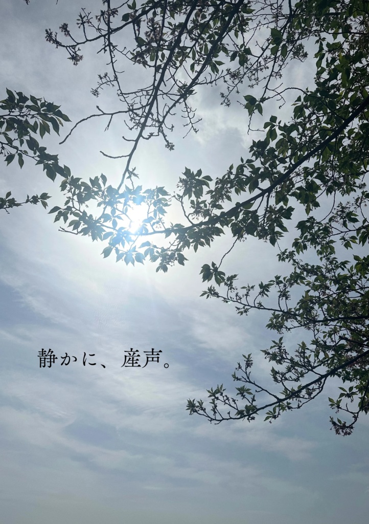 静かに、産声。