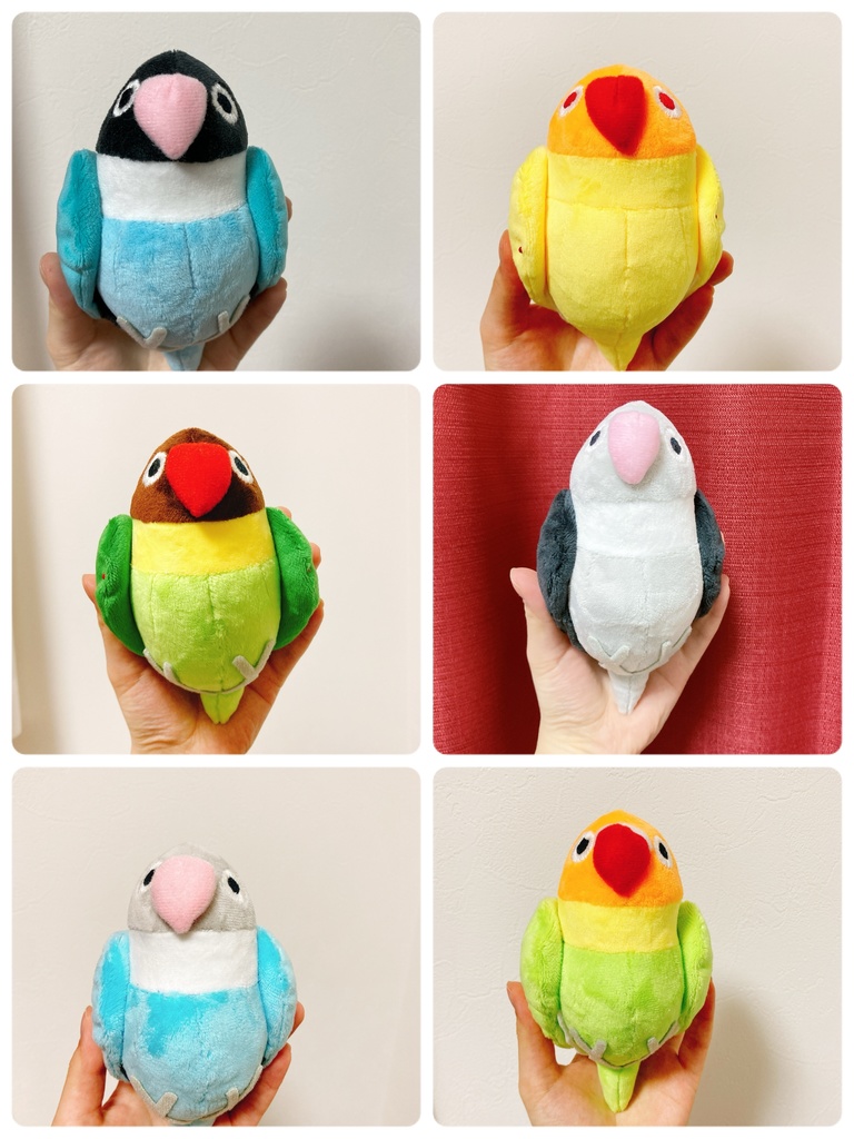 ムチムチボタンインコ