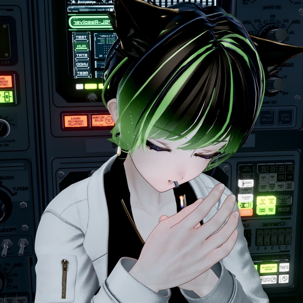 【アルエ専用】Alué Set版同梱BunHair用メッシュ&グラデーションテクスチャ