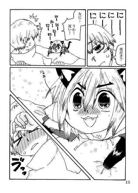 気づいたら子猫と一緒に暮らしてた