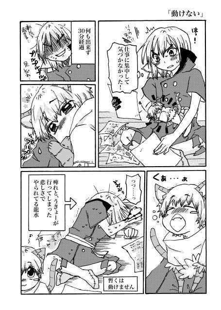 気づいたら子猫と一緒に暮らしてた