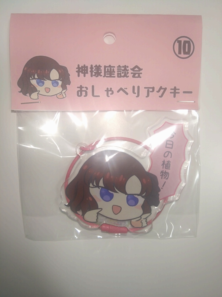 【神様座談会】おしゃべりアクキー