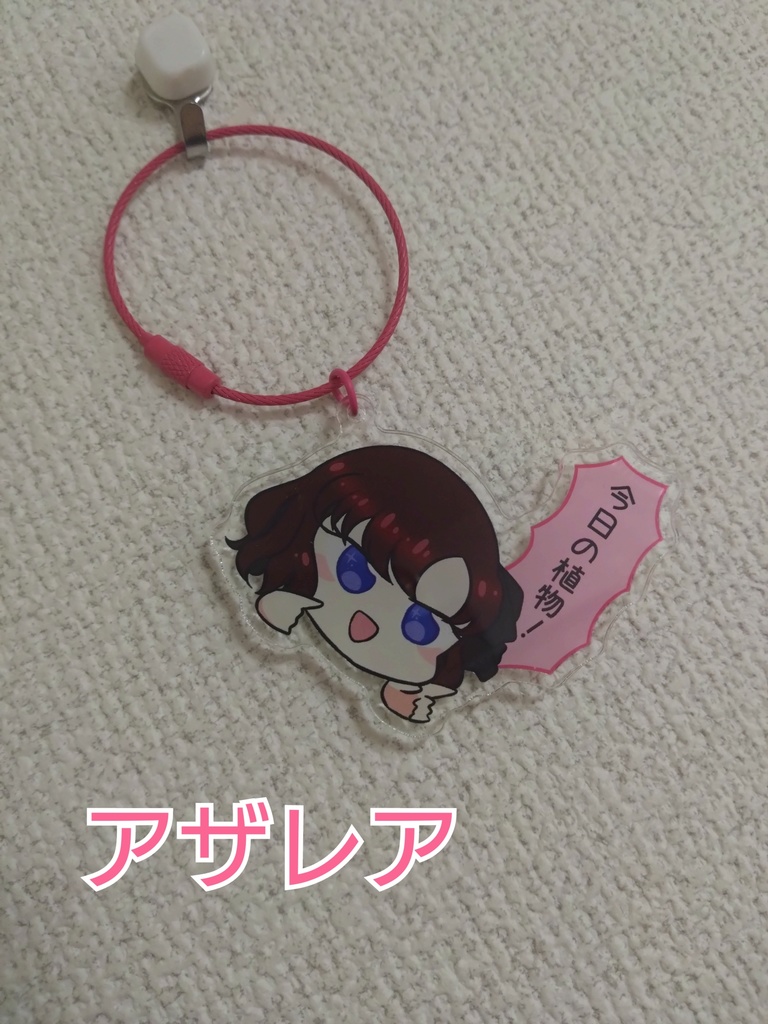 【神様座談会】おしゃべりアクキー