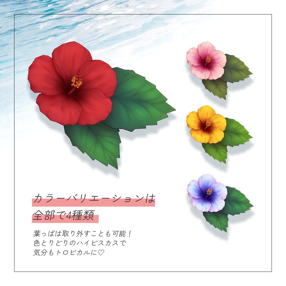 ハイビスカス hibiscus